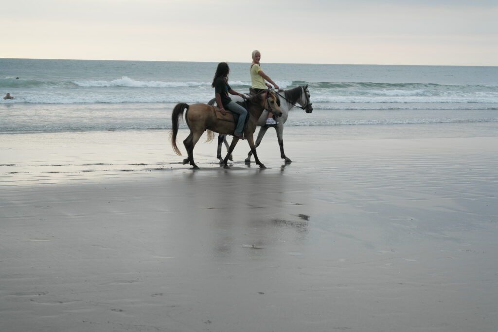 Menschen die auf Pferden reiten am Strand