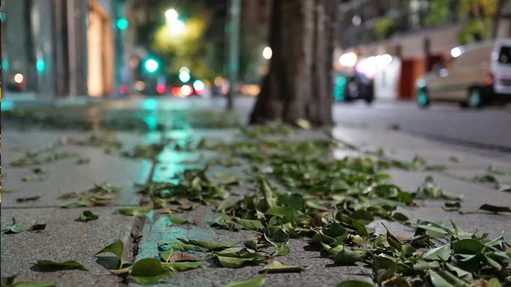 Blätter auf Straße